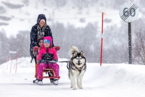 Salon Honorable Mention